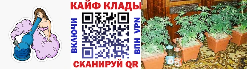 Купить наркоту Краснознаменск А ПВП COCAIN Амфетамин Мефедрон Канабис Гашиш