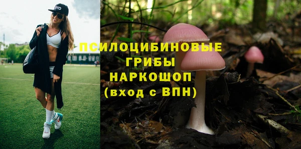 бошки Армянск
